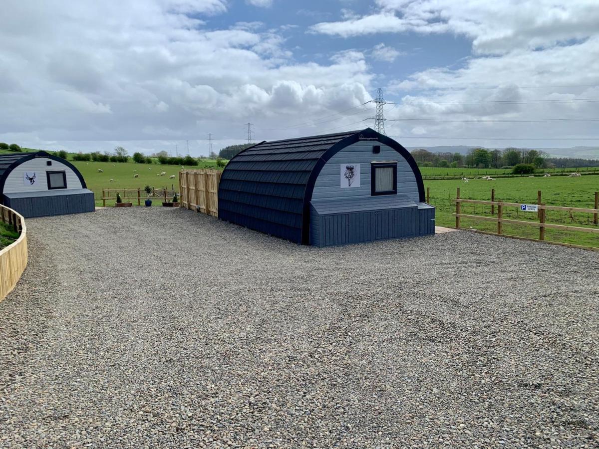Thistle Pod Farm Stay With Hottub Sleeps 2 Galston  Bagian luar foto
